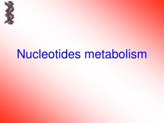 Nucleotides metabolism