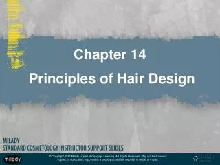 Chapter 14 Principles of Hair Design