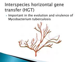 Interspecies horizontal gene transfer (HGT)