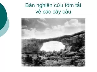 b n nghi n c u t m t t v c c c y c u