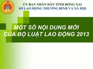 m t s n i dung m i c a b lu t lao ng 2013