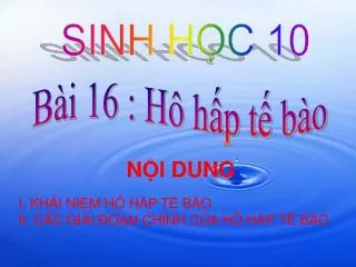 n i dung
