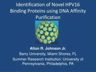 Identification of Novel HPV16 Binding Proteins using DNA Affinity Purification