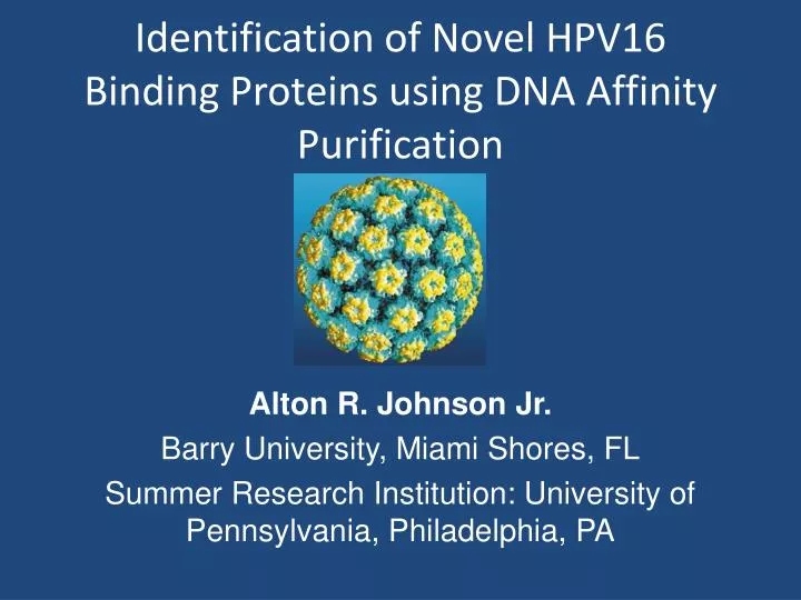 identification of novel hpv16 binding proteins using dna affinity purification