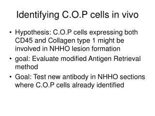 Identifying C.O.P cells in vivo