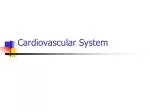 Cardiovascular System - slide 1