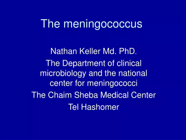 the meningococcus