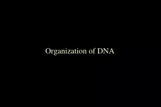 Organization of DNA