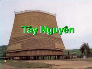 t y nguy n