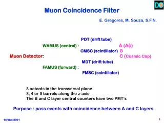 Muon Coincidence Filter E. Gregores, M. Souza, S.F.N.