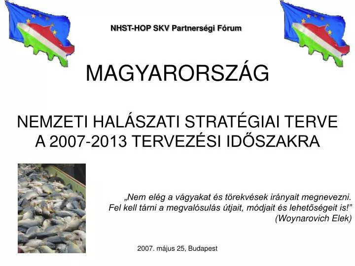 magyarorsz g nemzeti hal szati strat giai terve a 2007 2013 tervez si id szakra