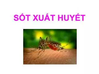 s t xu t huy t