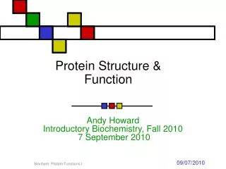 Protein Structure &amp; Function