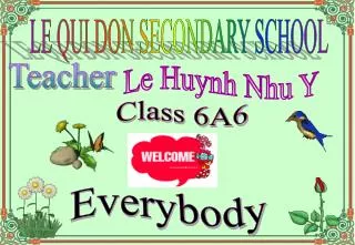 Le Huynh Nhu Y