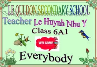Le Huynh Nhu Y