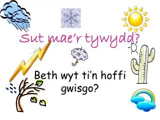 sut mae r tywydd