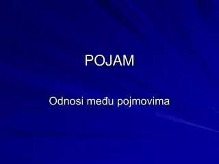 pojam