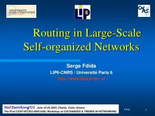 Routing in Large-Scale Self-organized Networks