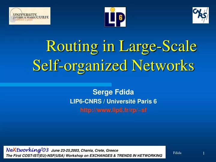 routing in large scale self organized networks