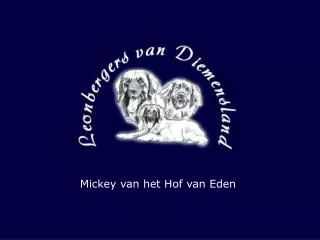 Mickey van het Hof van Eden