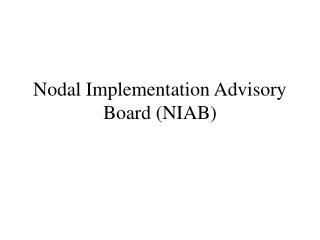 Nodal Implementation Advisory Board (NIAB)