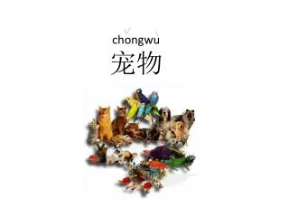 chongwu
