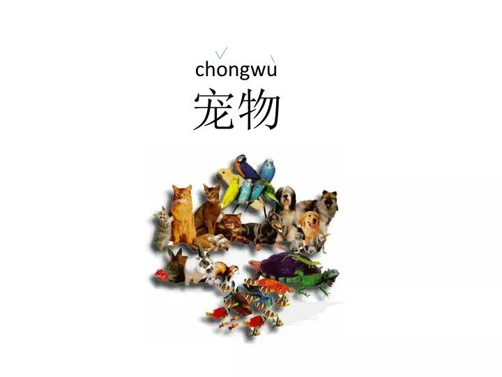 chongwu
