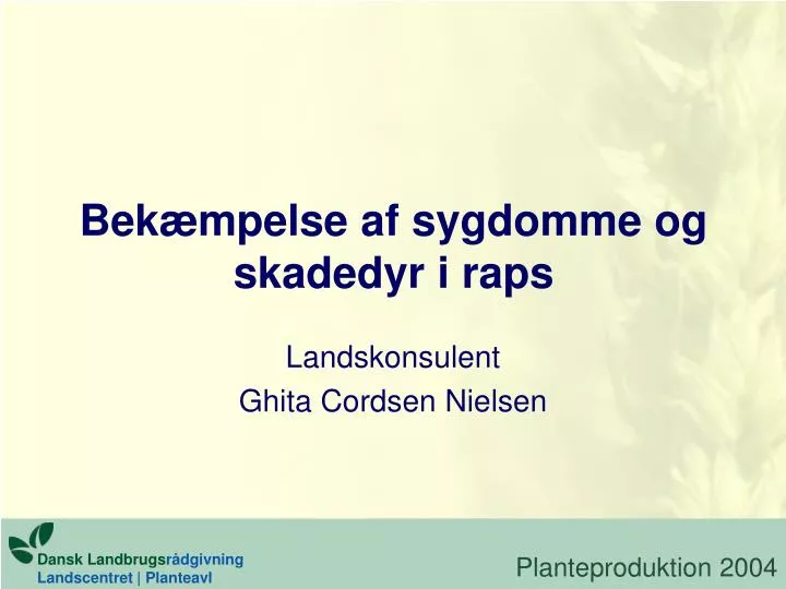 bek mpelse af sygdomme og skadedyr i raps