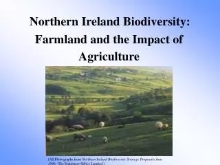 Northern Ireland Biodiversity:
