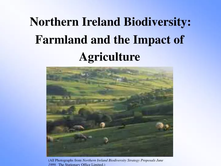 northern ireland biodiversity