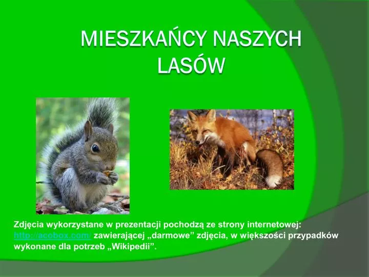 mieszka cy naszych las w