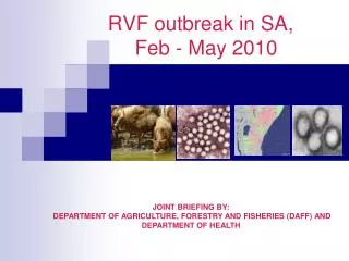 RVF outbreak in SA, Feb - May 2010