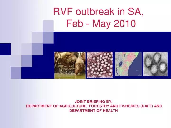 rvf outbreak in sa feb may 2010