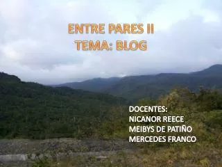 entre pares ii tema blog