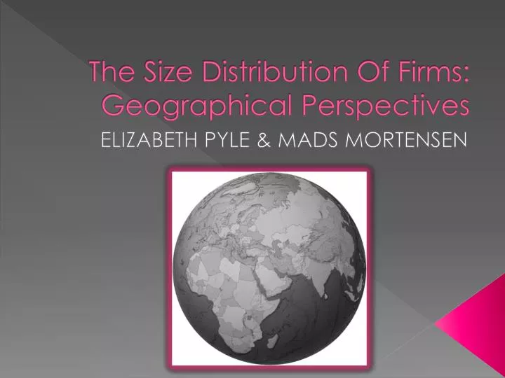 the size distribution of firms geographical perspectives