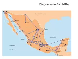 diagrama de red niba