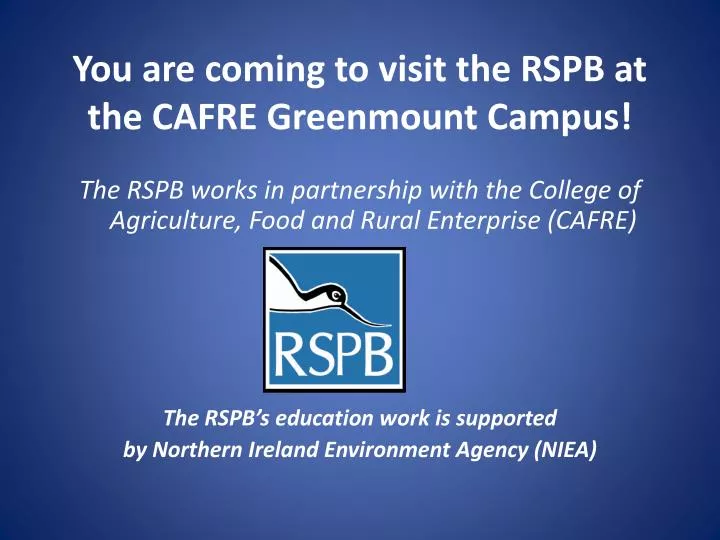 you are coming to visit the rspb at the cafre greenmount campus