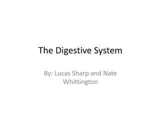 The D igestive System