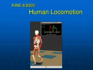 KINE 6/8300 Human Locomotion