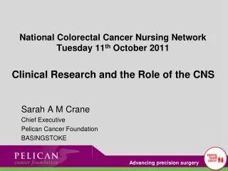 Sarah A M Crane Chief Executive Pelican Cancer Foundation BASINGSTOKE