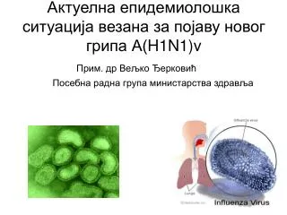 h1n1 v