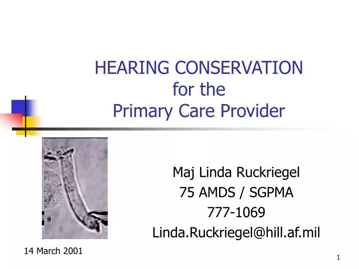 hearing conservation for the primary care provider