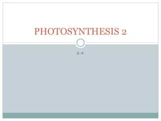 PHOTOSYNTHESIS 2