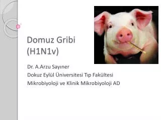domuz gribi h1n1v