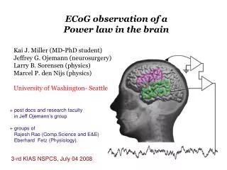 ECoG observation of a Power law in the brain