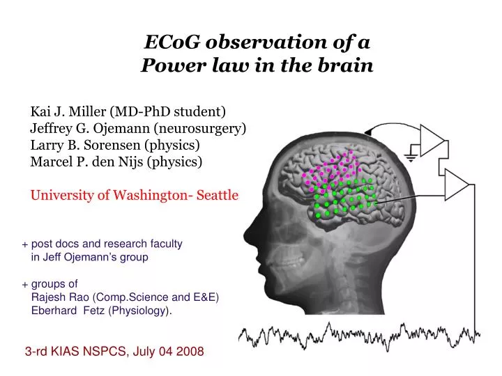 ecog observation of a power law in the brain