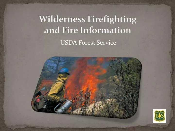 usda forest service