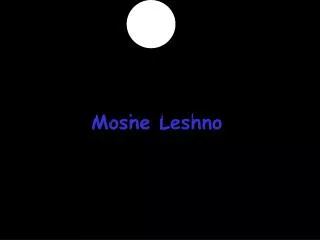 Moshe Leshno