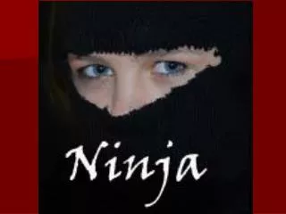 Ninjutsu Ninja