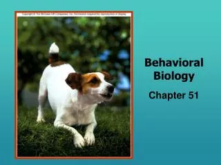 Behavioral Biology